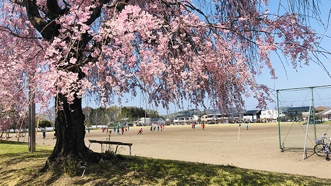 栃木市総合運動公園サッカー場